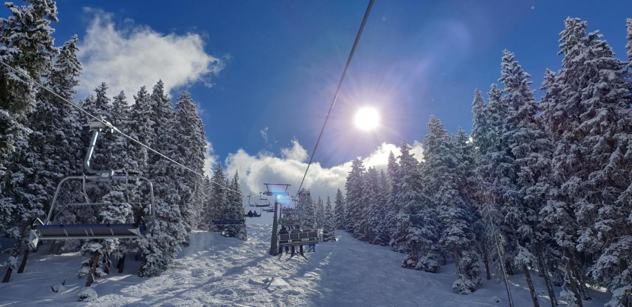Appartementhaus Mayrhofen By Piaunddirk エクステリア 写真
